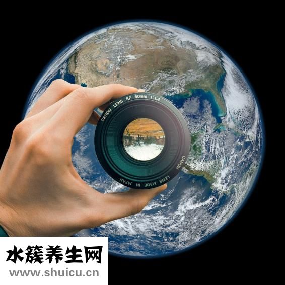 山萸肉的功效與作用