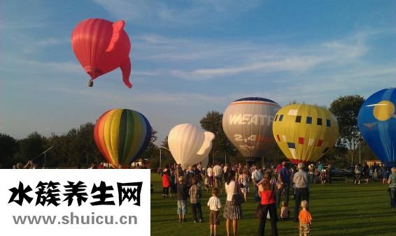 孕婦吃藍莓好嗎