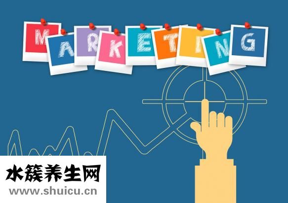 山藥粉多少錢一斤