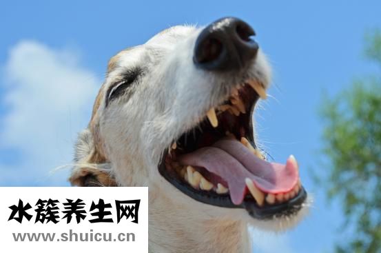 早上起來腰酸背痛