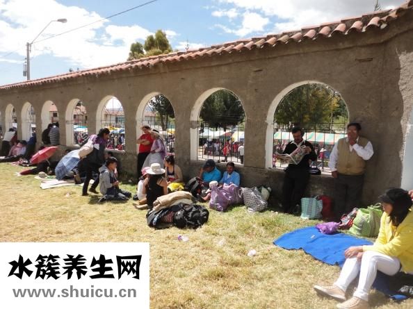 早上喝什么茶好