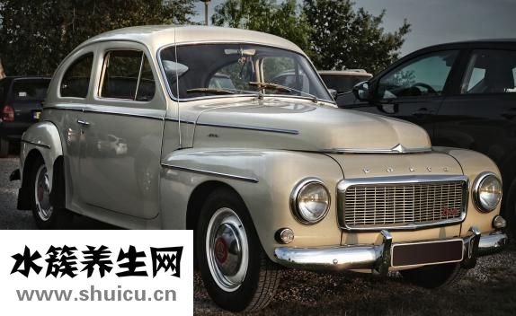 小龍蝦上市時間