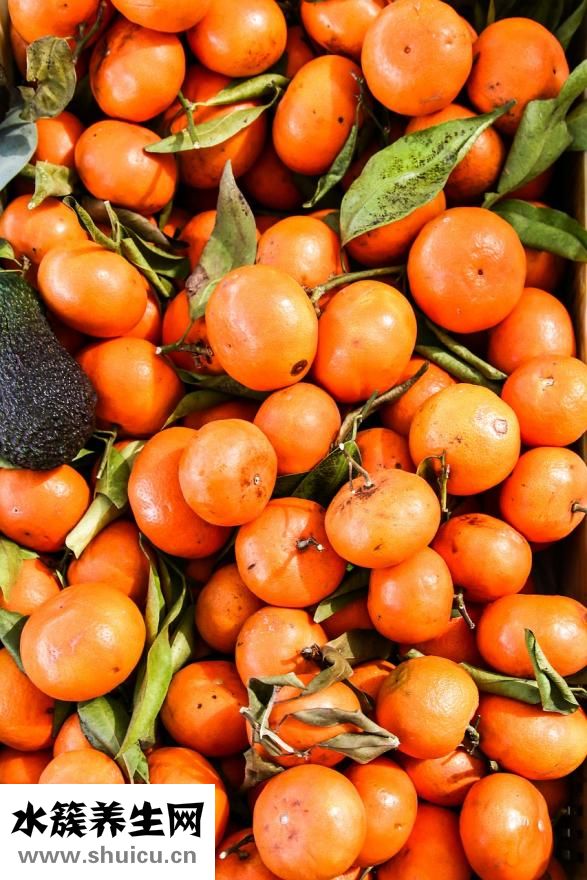 什么最補(bǔ)腎