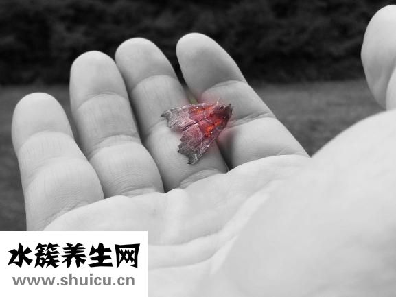 孕婦能洗牙齒嗎