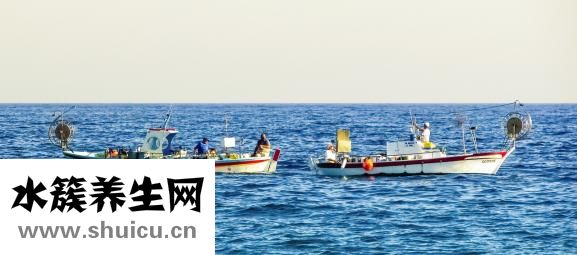 晚上吃啥不胖還減肥