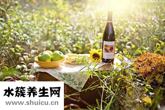 早上喝什么茶好