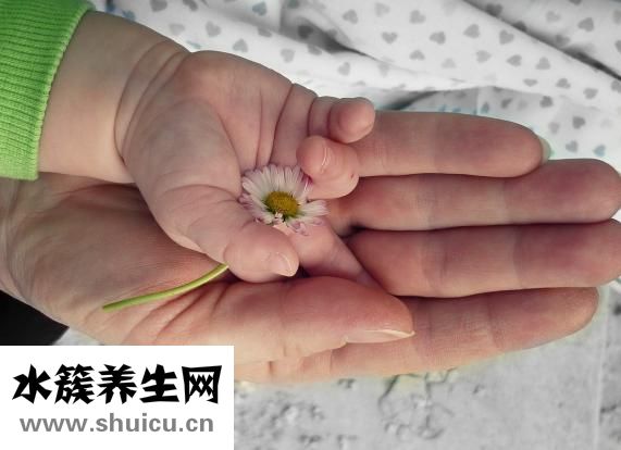 葉酸含量高的食物