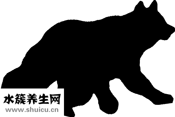 醫院可以打耳洞嗎