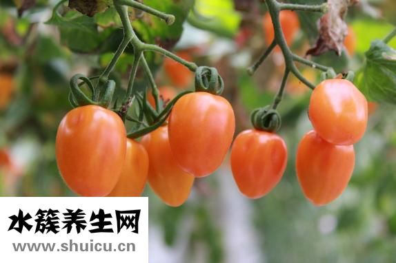 懷孕一個月注意事項(xiàng)