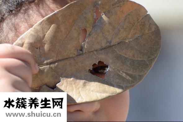 怎樣糾正近視眼