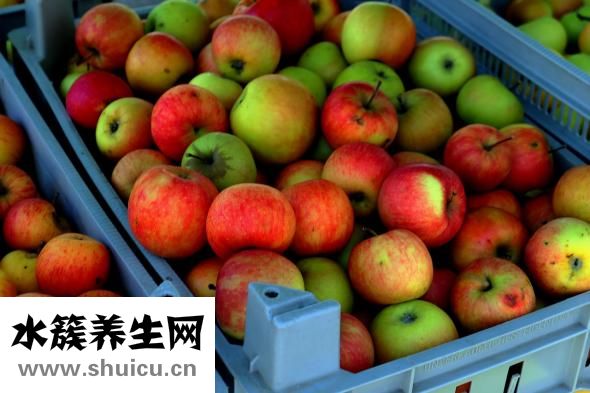 孕婦可以吃番茄醬嗎