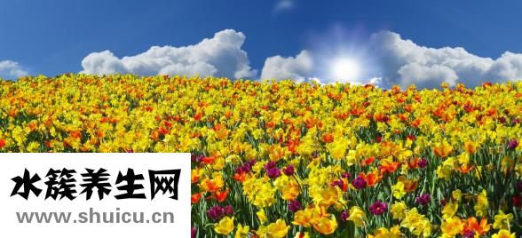 吐出黃水苦水嚴重嗎