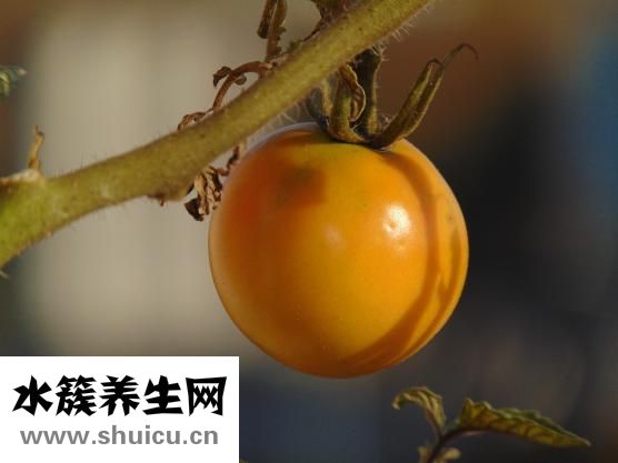 喝酒劃拳怎么玩