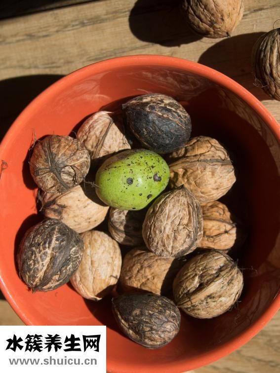 孕婦能吃面包嗎