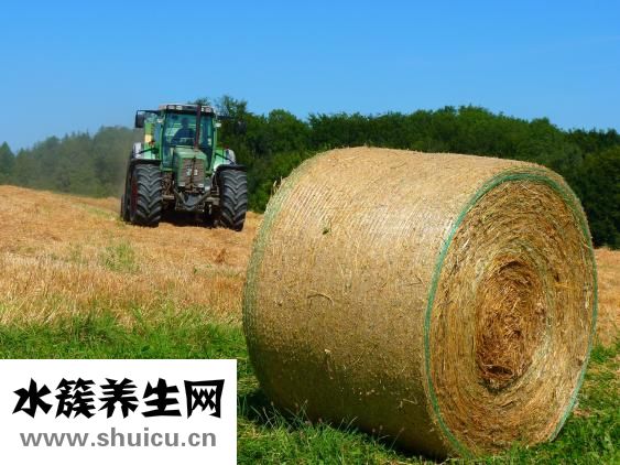 布洛芬藥效持續時間