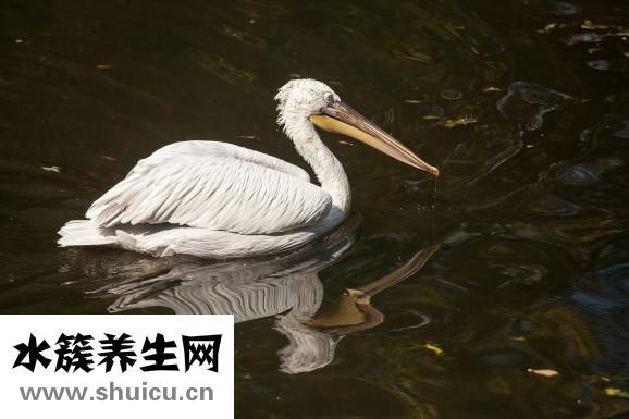 一歲半寶寶發(fā)育指標(biāo)