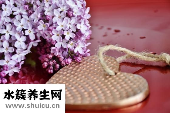 養(yǎng)鴨子禁忌