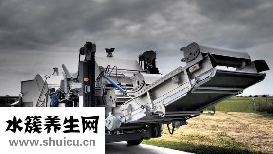 雙孢菇是口蘑嗎