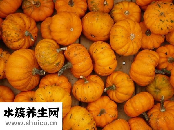 小米南瓜粥的做法