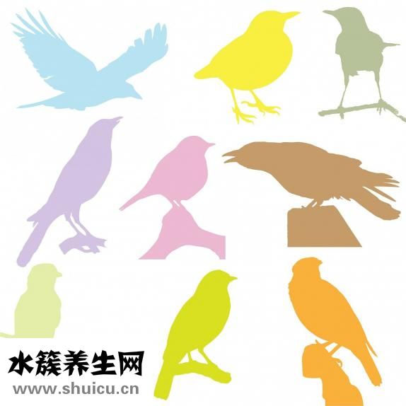 子宮脫垂的原因