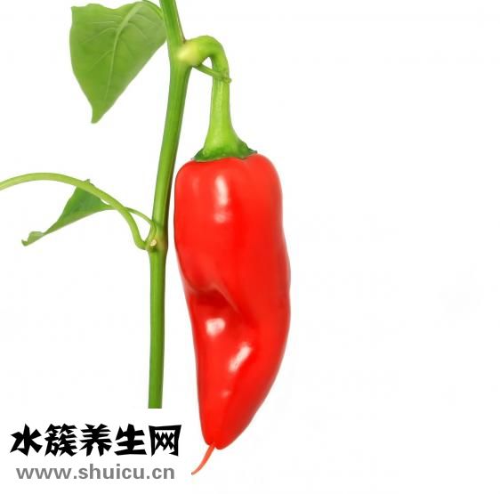 孕婦可以吃辣嗎