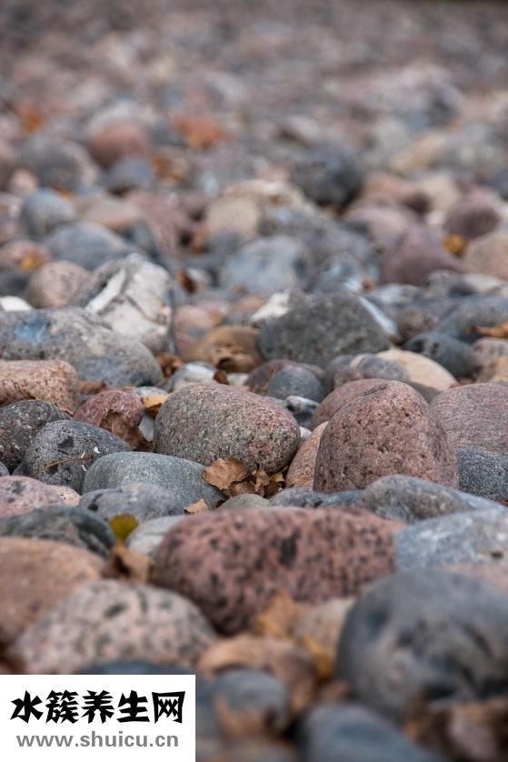 地爾硫卓緩釋膠囊