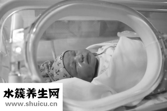 旋覆花代赭石湯