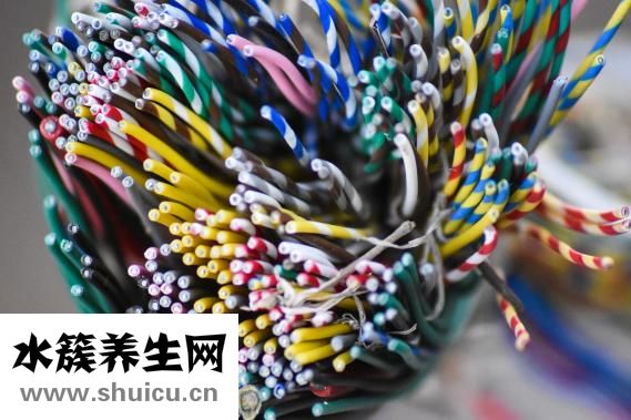 上瞼松弛整形術