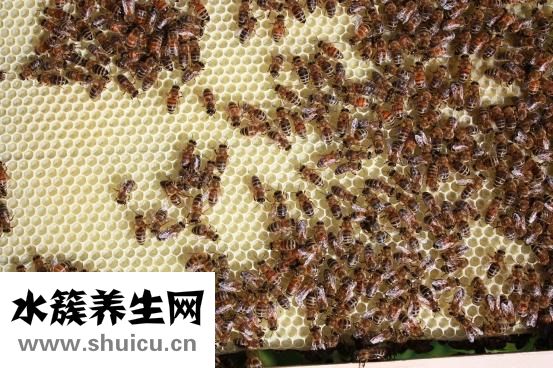 喝蜂蜜有哪些好處