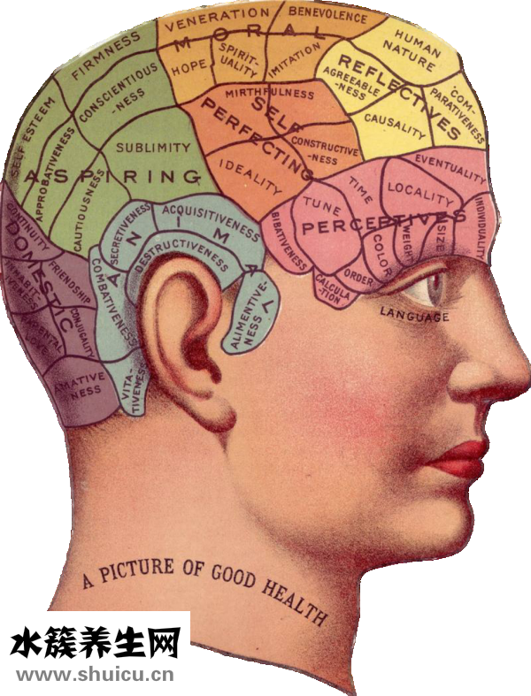 太陽(yáng)穴兩邊頭痛