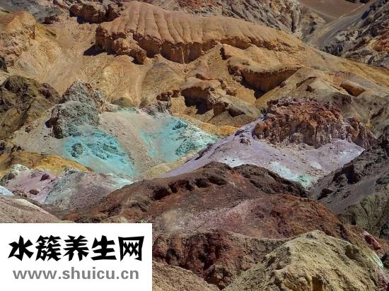 什么食物膽固醇高