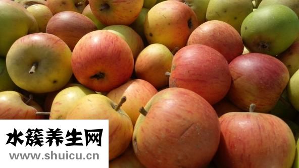 早上吃蘋果的好處