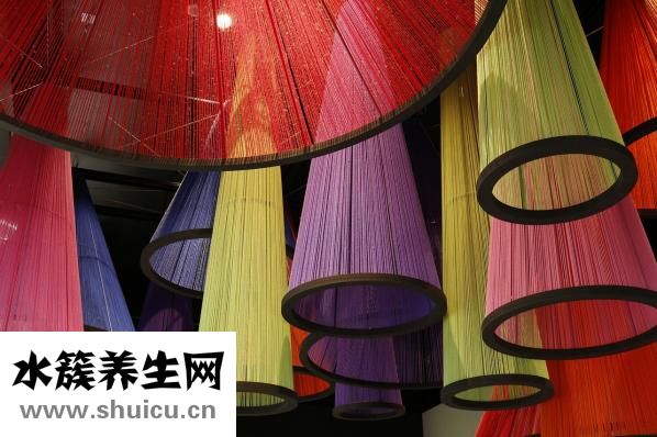 什么食物易消化