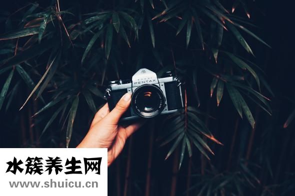 人體器官示意圖