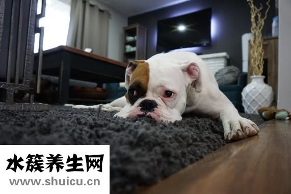 宮頸小有什么影響