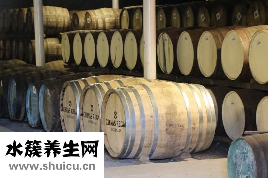 心臟支架圖片大全