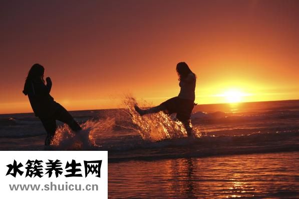 新鮮姬松茸的做法