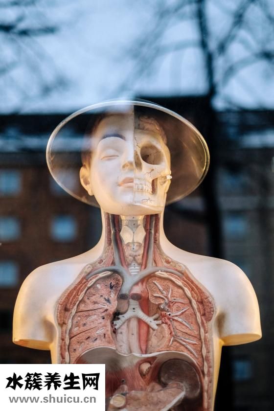 仰臥起坐訓練方法