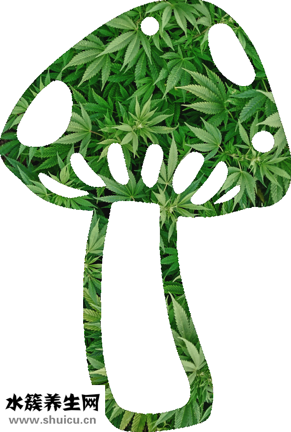 心肌梗塞吃什么藥