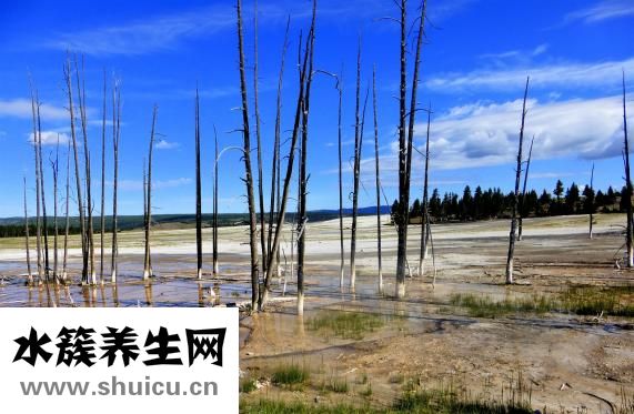 吃海虹的好處跟壞處