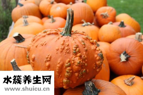 小米南瓜紅棗粥
