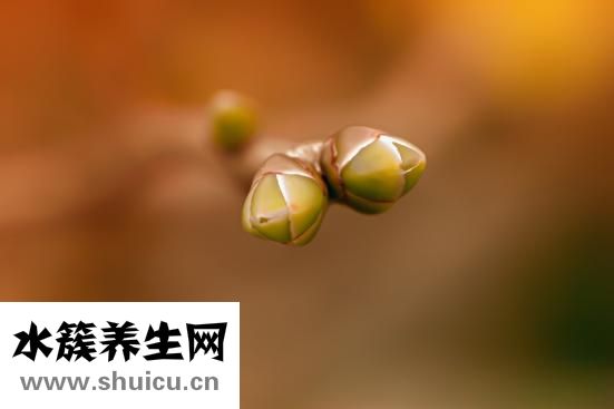 衛(wèi)生間清潔