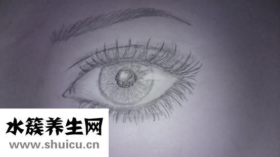 怎樣去除眼部細(xì)紋