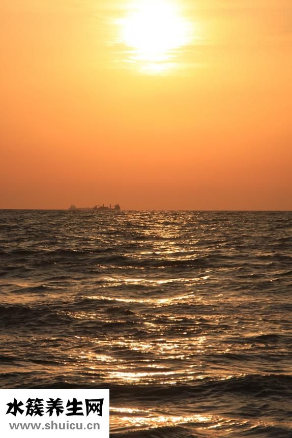 手劃破了怎么止血