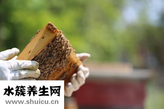 手劃破了怎么止血