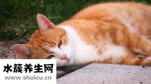 晚上能剪指甲嗎