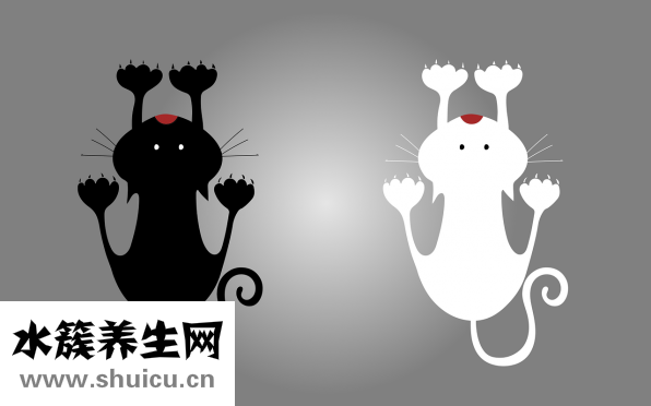 五指毛桃圖片大全