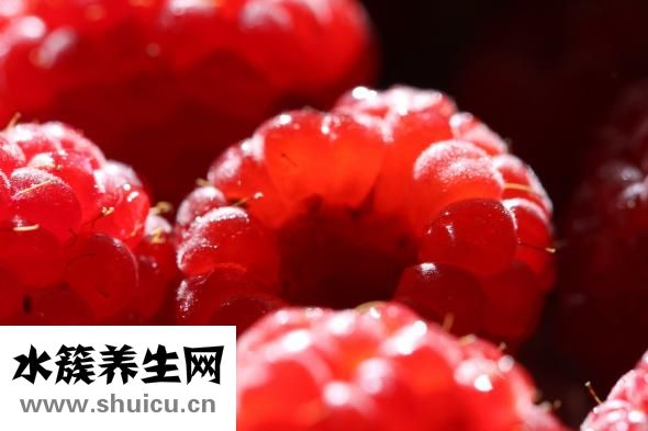 孕婦能吃香椿嗎