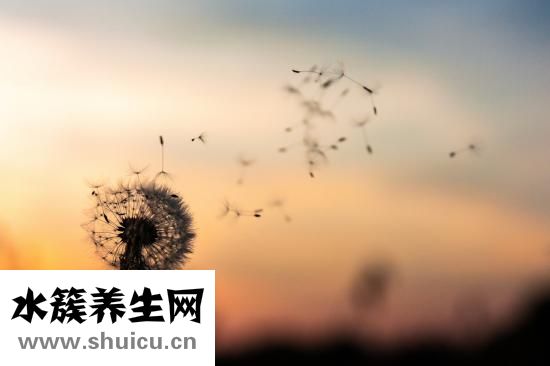 一天要喝多少水