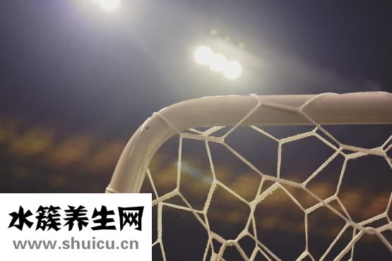 五維賴(lài)氨酸口服液